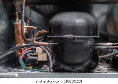 Fridge compressor condenser, close-up. Refrigerator backside including corroded copper pipes, electrical wiring and dust and pet hair. Concept for maintaining and repair appliances. Selective focus