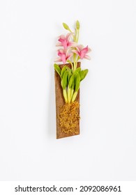 Fridge Magnet In The Shape Of Orchid Flower On A Wooden Board On A White Background. Travel To Tropical Country Concept. Top View Flat Lay, Close Up