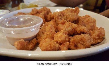 fried alligator