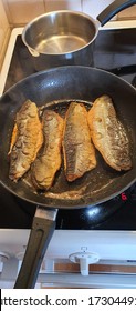 Fried Artic Char For Dinner Today