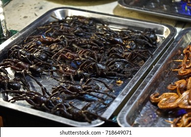 936 Bugs cambodia Images, Stock Photos & Vectors | Shutterstock