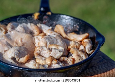 Fried Chicken Fillet In A Cast Iron Skillet. Outdoor Cooking.