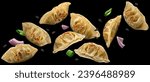 Fried Chinese Gyoza dumplings isolated on black background