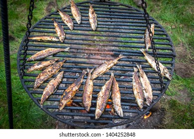 Fried Common Whitefish Grilled Over Fireplace