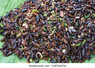 Fried Cricket With Pandan On Banana Leaf Background / Jumping Cricket Insects For Snack At Street Food In Thailand Asian