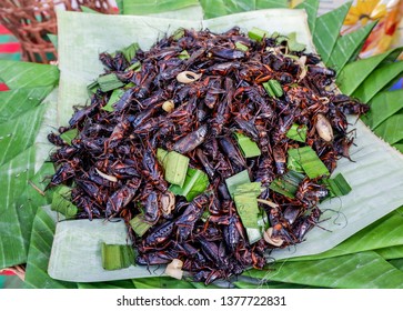 Fried Cricket With Pandan On Banana Leaf Background / Jumping Cricket Insects For Snack At Street Food In Thailand Asian