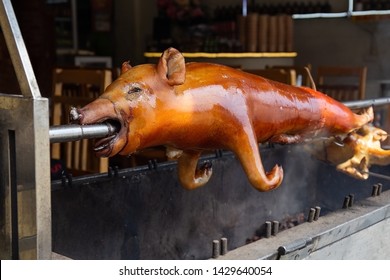 Fried Crispy Milk Suckling Pig On A Spit And On The Coals. Asian Cuisine