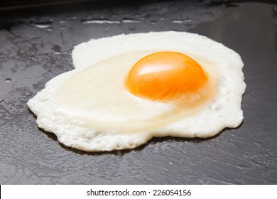 Fried Egg,