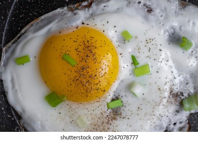 Fried egg in a frying pan with green onions close-up