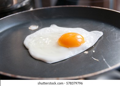 Fried Egg Pan Protein Yolk