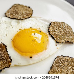 Fried Egg And Truffles With Truffle Pasta