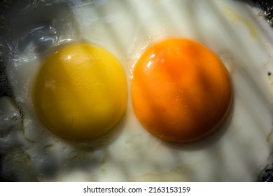 Fried eggs from two eggs with yellow and orange yolk closeup. Comparison of two yolks, which yolk is healthier. The shape and color of the yolks of chicken eggs. Fried eggs on the frying pan.