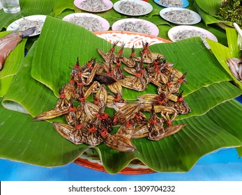 Fried Giant Water Bugs On Banana Leaf In The Rural Market Of Thailand.