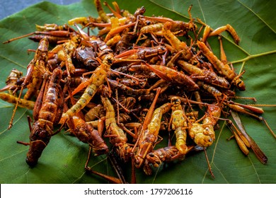 Fried Grasshopper Or Belalang Goreng 
Is Traditional Food From Southeast Asia, Served On Green Teak Leaf