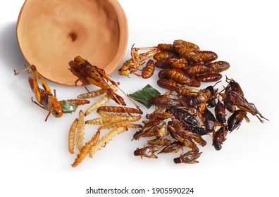Fried insect, edibility Grasshopper, Silkworm pupae, house cricket, Bamboo Worms Caterpillar. Fried insects with salt on white background. Street food insects snacks in Khao San Road Bangkok, Thailand