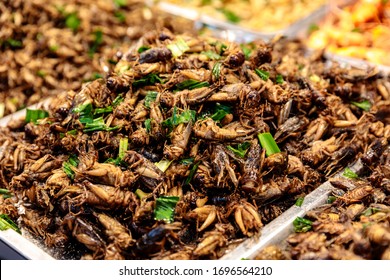 Fried Insect Street Food Of Thailand