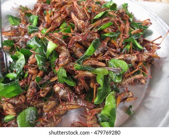 Fried Insects Stock Photo 479769280 | Shutterstock