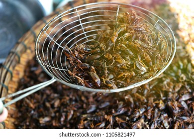 Fried Insects, Bugs Fried On Street Food In Thailand