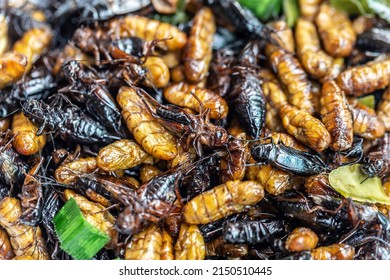 Fried Insects Bugs Fried On Street Stock Photo 2150510445 | Shutterstock