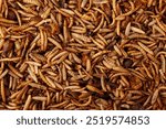 Fried insects, close-up. Alternative food, an organic source of protein. A food supplement for hamsters and other pets.