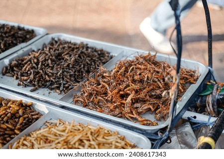 Fried insects (locust, worm, cricket, pupa, and giant waterbug) as street food on a vendor stall, Thailand.