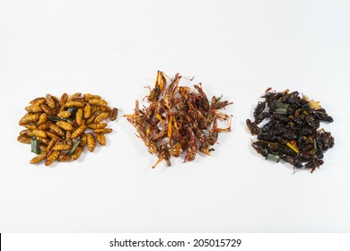 Fried insects. Protein rich food 