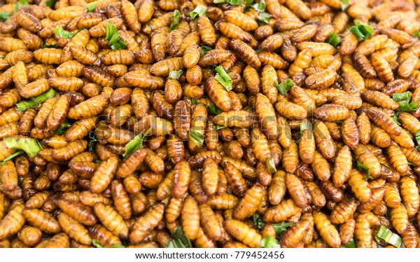 Fried Insects Protein Rich Food Bamboo Stock Photo (Edit Now) 779452456