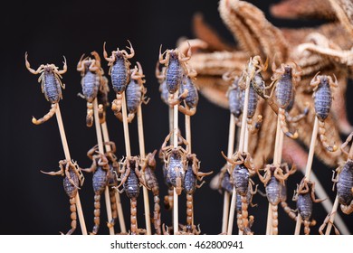 Fried Insects And Scorpions As Snack Street Food In China, Beijing