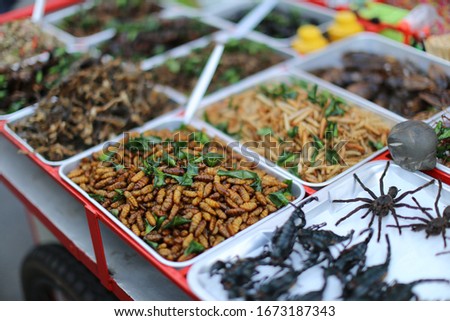 Similar – Image, Stock Photo Insects as food | sparrow with insect in beak