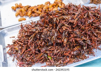 Fried Locusts Worms On Local Food Stock Photo 242392195 | Shutterstock