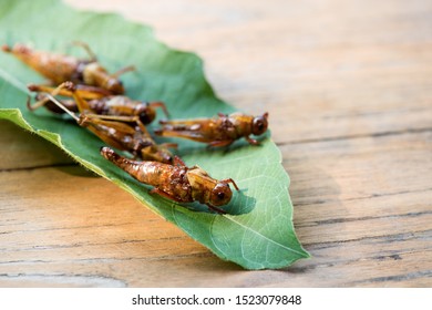 Fried Locust,Thai Insects On Natural Background.