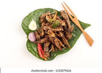 Fried Locust,Thai Insects On A White Background.