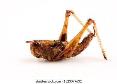 Fried Locust,Thai Insects On A White Background.