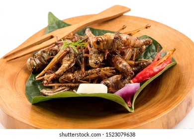 Fried Locust,Thai Insects On A White Background.