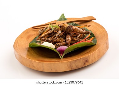 Fried Locust,Thai Insects On A White Background.