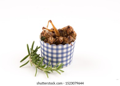 Fried Locust,Thai Insects On A White Background.