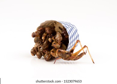 Fried Locust,Thai Insects On A White Background.