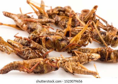 Fried Locust,Thai Insects On A White Background.