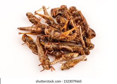 Fried Locust,Thai Insects On A White Background.