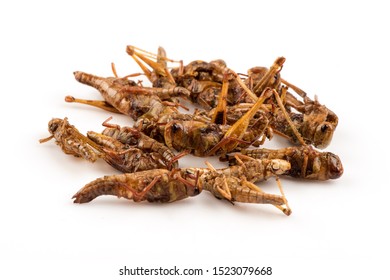 Fried Locust,Thai Insects On A White Background.