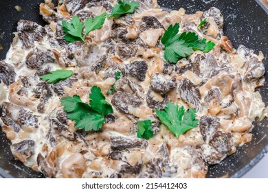 Fried Morel Mushrooms In Sour Cream Sauce, Close-up