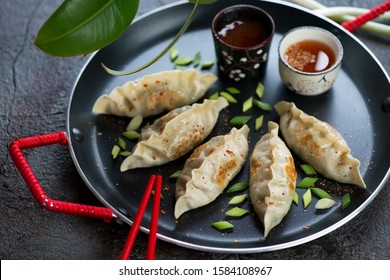 Fried potstickers or dumplings stuffed with pork and vegetables on a serving pan, studio shot, selective focus