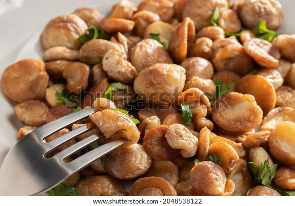 Fried puffball mushrooms on a white\
plate with a fork. Fried mushroom ready dish, close\
up