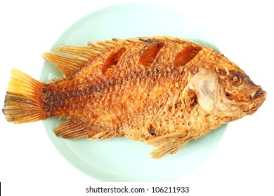 Fried Red Tilapia Fish