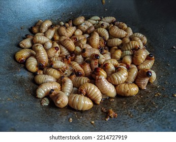 Fried Sago Caterpillar Is One Of The Extreme Traditional Foods And Is A Favorite Food By Some People Who Like It.