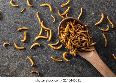 Fried salty worms. Roasted mealworms on a wooden spoon. Top view. - Shutterstock ID 2145445311