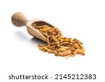 Fried salty worms in wooden scoop. Roasted mealworms isolated on white background.
