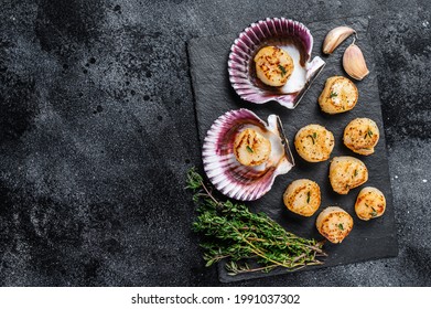 Fried seafood scallops meat with butter in a shells. Black background. Top view. Copy space