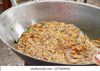 928 Fried larva silk worms Images, Stock Photos & Vectors | Shutterstock