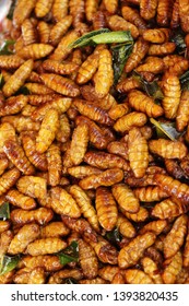 928 Fried larva silk worms Images, Stock Photos & Vectors | Shutterstock